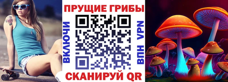 Псилоцибиновые грибы прущие грибы Дзержинский