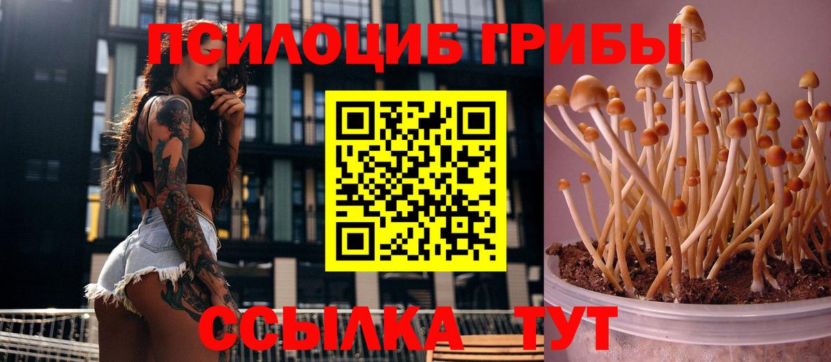 Дзержинский  Галлюциногенные грибы Cubensis  как найти наркотики  Вход с VPN  Псилоцибиновые грибы Psilocybine cubensis 