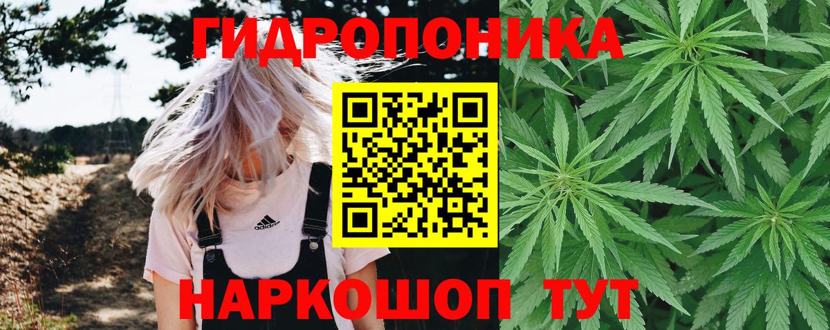 Канабис Bruce Banner Дзержинский